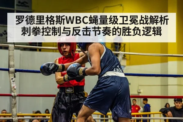 boxing match action