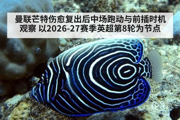 曼联芒特伤愈复出后中场跑动与前插时机观察 以2026-27赛季英超第8轮为节点